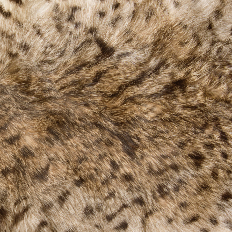 Exotic Pelt