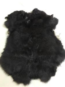 Colored Pelt